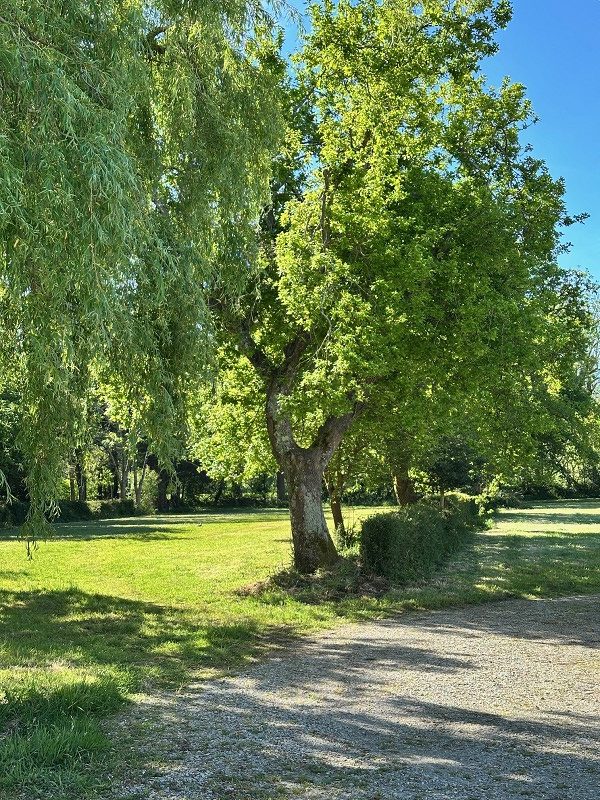 Vente fond de commerce Camping DOUARNENEZ
